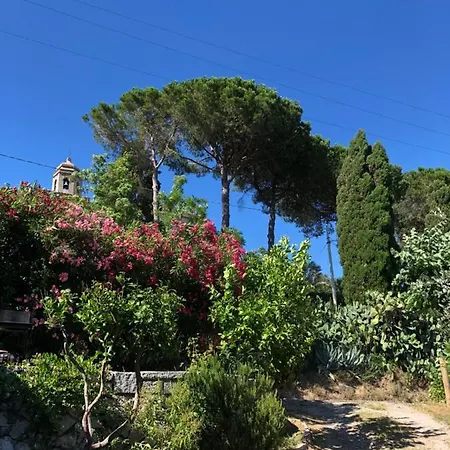 Tatil Evi Casale Sant'Ilario Pila (Livorno)
