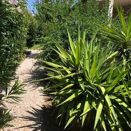 Casale Sant'Ilario Tatil Evi